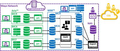 Scalable radiotherapy <mark class="highlighted">data curation</mark> infrastructure for deep-learning based autosegmentation of organs-at-risk: A case study in head and neck cancer